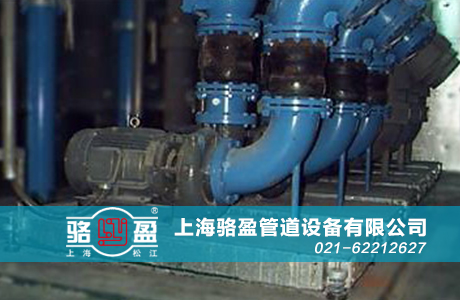 上海駱盈與泰興濱江污水處理廠的合作項(xiàng)目